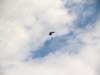 august2008062_small.jpg