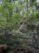 westerwald190_small.jpg
